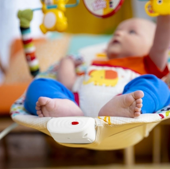 Bright Starts Playful Pinwheels Bouncer - Picture 10 of 10